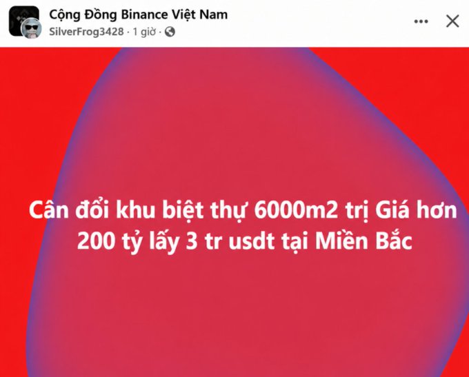 A Facebook post from the group 'Cộng Đồng Binance Việt Nam' by user SilverFrog3428 features Vietnamese text on a pink and red gradient background that reads: 'Cần đổi khu biệt thự 6000m2 trị Giá hơn 200 tỷ lấy 3 tr usdt tại Miền Bắc'.