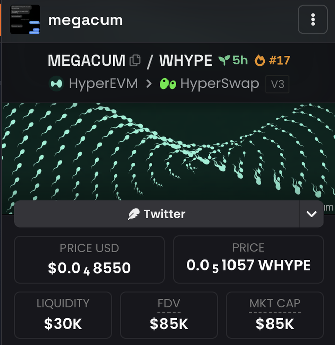 The image displays a cryptocurrency page for the token "MEGACUM" (paired with WHYPE) on HyperSwap V3 via HyperEVM, showing metrics such as a price of $0.048550 USD, 0.051057 WHYPE, $30K liquidity, and both FDV and market cap at $85K. The screenshot illustrates a specific token trading on Hyperliquid's HyperEVM ecosystem, aligning with the post's emphasis on HyperEVM's role as a unified platform for trading activity and liquidity.