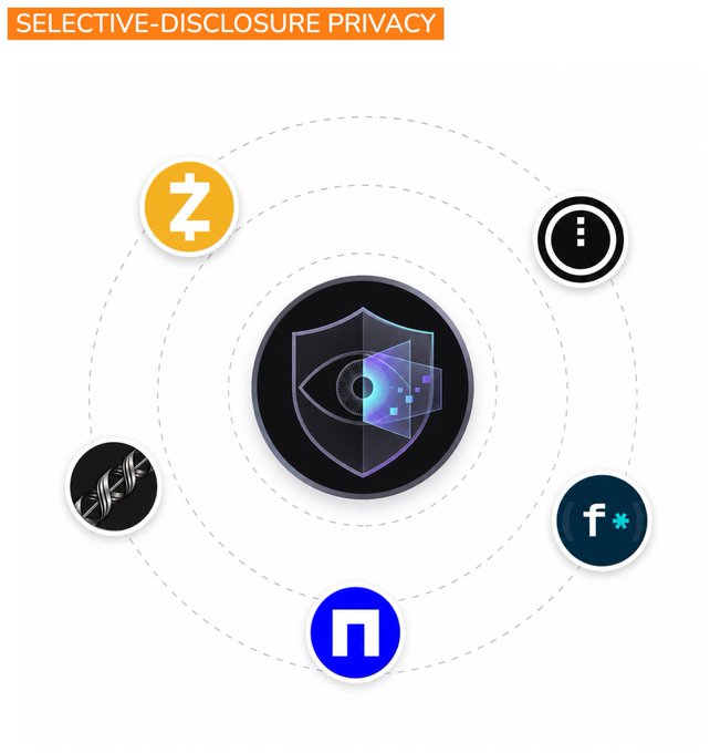 An infographic titled "SELECTIVE-DISCLOSURE PRIVACY" features a central shield-and-eye icon surrounded by five cryptocurrency logos—Zcash (ẑ), Midnight (i), Filecoin (f*), Aleo (a square symbol), and a DNA helix—representing projects that balance privacy with auditable, controlled access in finance.