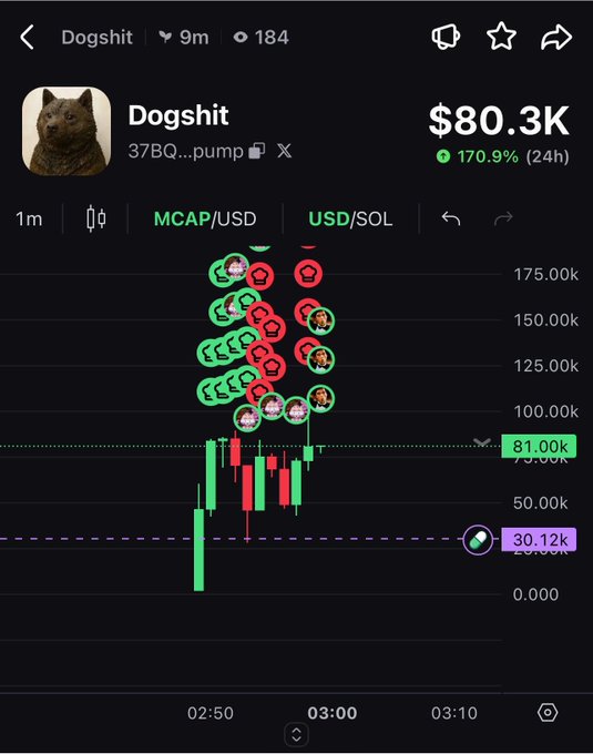 A trading interface for the meme coin 'Dogshit' (37BQ...pump), showing a market cap of $80.3K with a 170.9% 24-hour increase, featuring a candlestick chart heavily populated with buy and sell transaction bubbles.