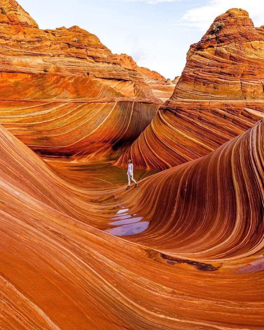 A lone figure stands on the sweeping, orange-striped sandstone wave formations of 'The Wave' in Arizona, with small puddles visible in the trough.