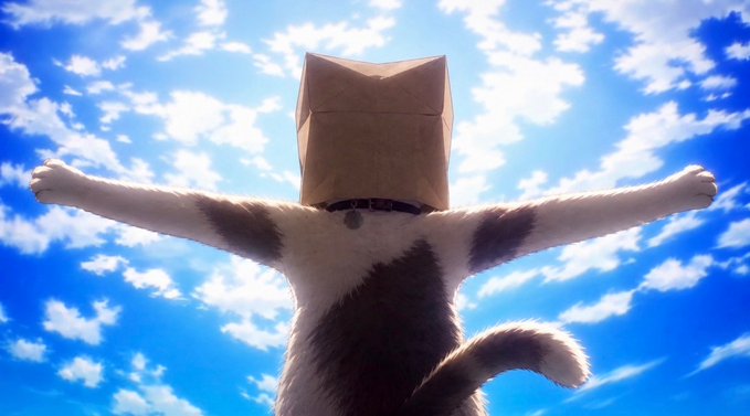A cat wearing a brown paper bag over its head stands with arms outstretched against a bright blue sky with scattered clouds.