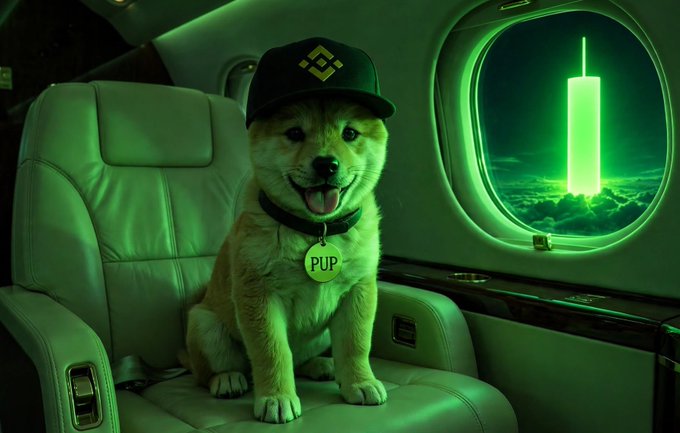 A digital illustration of a smiling Shiba Inu puppy wearing a black cap and a 'PUP' tag, sitting in a plane seat next to a window showing a glowing green tower in the clouds.
