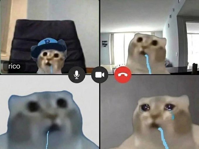A four-way video call screenshot featuring crying cat memes, with one cat wearing a blue cap labeled "rico" and all four cats shown with streaming blue tears, humorously depicted as conspiring group members during a planning session.