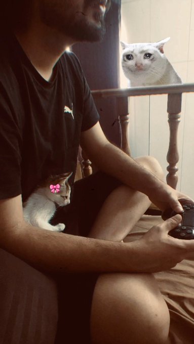 A person wearing a black t-shirt sits holding a video game controller, with a digitally added white cat face superimposed in the background and a small cat resting near their waist.