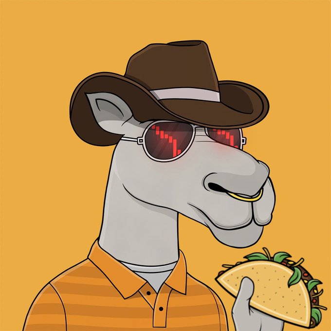 An illustrated anthropomorphic gray horse character wearing a brown cowboy hat, red-tinted sunglasses, and an orange striped polo shirt while holding a taco against a solid orange background.