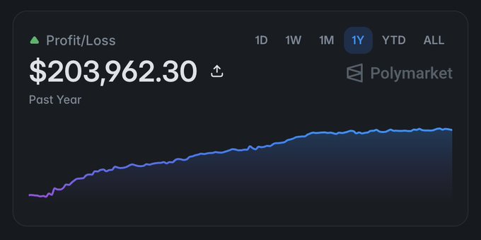 A financial dashboard displays a Profit/Loss of $203,962.30 over the past year on Polymarket, with a 1Y timeframe selected and an upward-trending line chart.