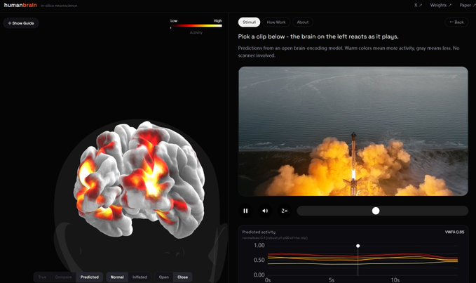 The image shows the Human Brain app by Nous, displaying a 3D brain visualization with predicted activity heatmap (warm colors indicating high activity) on the left, alongside a video of what appears to be a rocket launch with playback controls on the right, with instructions reading "Pick a clip below - the brain on the left reacts as it plays."