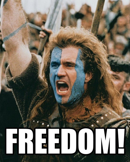 A meme featuring William Wallace from Braveheart with blue face paint, shouting "FREEDOM!" in bold white text.