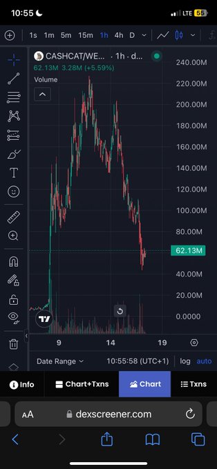 A TradingView candlestick chart on dexscreener.com shows the $CASHCAT/WETH pair on a 1-hour timeframe, with the token's value crashing from a peak above 220M to around 62.13M (down 5.59%) over the past several days, supporting the post's claim that the token's upward momentum is over and unlikely to recover like previous runners.