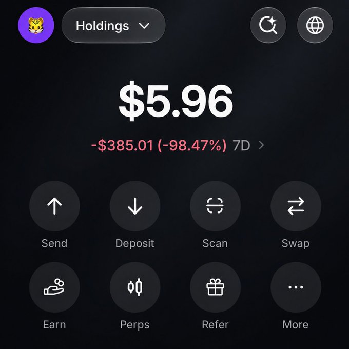 A crypto wallet dashboard showing a holdings balance of $5.96, down $385.01 (-98.47%) over 7 days, illustrating the post's claim of losing over $300 to memecoins.