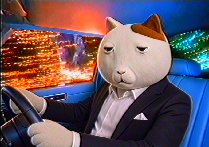 A surreal image of a person in a suit and white shirt wearing a large, unamused cat mask, sitting in the driver's seat of a car with a colorful, abstract city lights background.