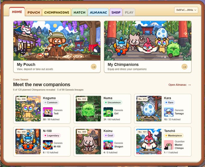 A screenshot of the Chimpz Web3 game interface shows navigation tabs (HOME, POUCH, CHIMPANIONS, HATCH, ALMANAC, SHOP, PLAY) and a collection of digital chimp characters including Koguma, Numa, Kara, N-100, Koinu, and Tanchō.