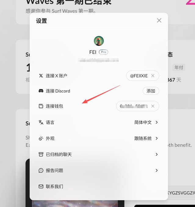 A settings menu (in Chinese) for a user named 'FEI Pro', with a red arrow pointing to the 'Connect wallet' (连接钱包) option.