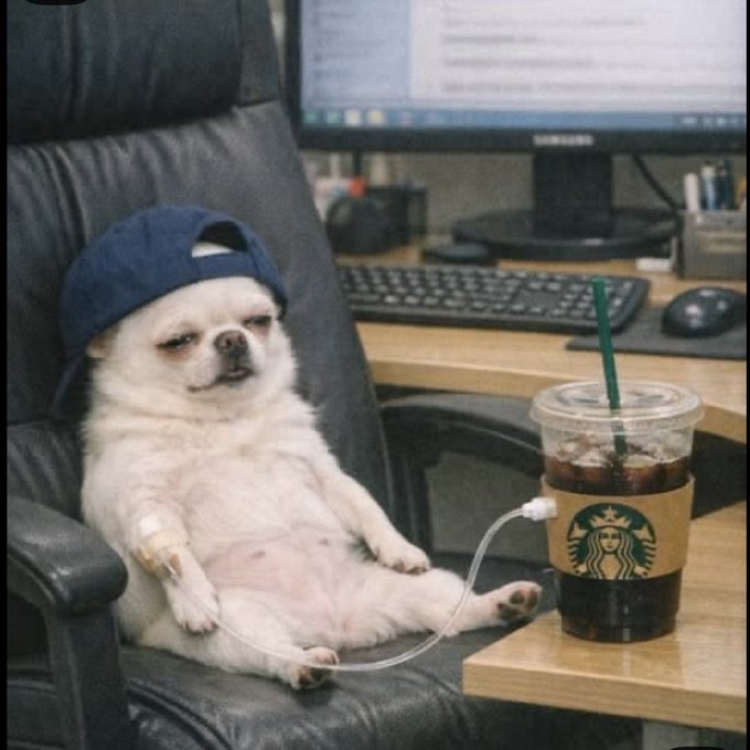 The image features a small white dog wearing a baseball cap sitting comfortably in an office chair, with a cup of coffee next to it. The dog appears to be resting or taking a break from work. In the background, there is a computer monitor on which a keyboard and mouse are placed, indicating that this scene takes place in an office setting.