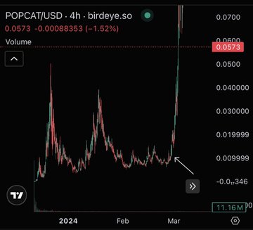 A 4-hour trading chart for POPCAT/USD on birdeye.so, showing a current price of 0.0573, down 1.52%, with a significant price spike visible in early March 2024.