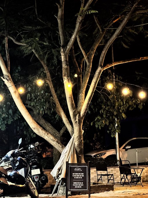 A nighttime outdoor scene features a large tree with branches strung with glowing warm lights, beneath which sit parked motorcycles, empty chairs, and a sign with menu text.