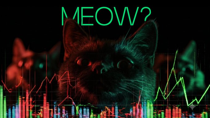 A meme featuring a black cat with glowing red eyes against stock market charts in red and green, with the neon text 'MEOW?' displayed at the top.