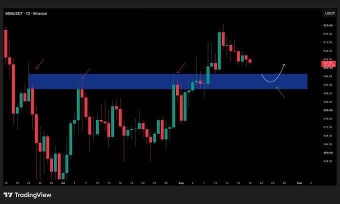 A TradingView daily candlestick chart for 'BNBUSDT' on Binance displays price action with a blue highlighted horizontal resistance/support zone marked with red checkmarks, a white curved arrow indicating upward movement, and prices ranging between approximately $560 and $620.