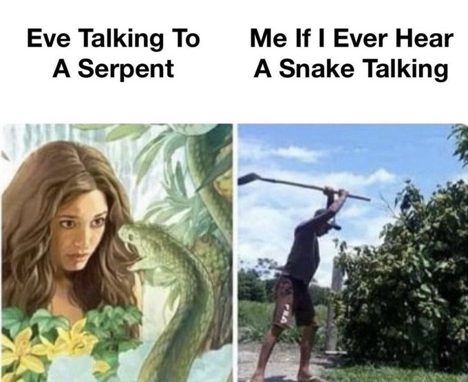A two-panel meme titled 'Eve Talking To A Serpent' showing a woman with a snake, contrasted with 'Me If I Ever Hear A Snake Talking' showing a man raising a stick to strike.