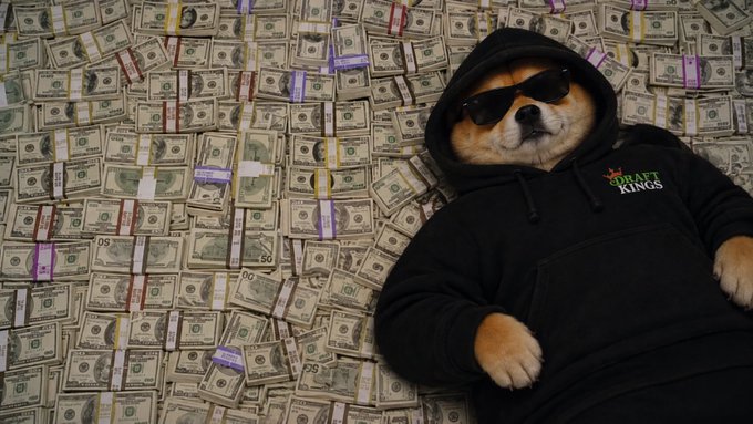 The famous Doge dog (Shiba Inu) wearing sunglasses and a black 'DRAFTKINGS' hoodie, lying on a large pile of bundled US dollar bills.