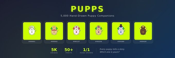 The image showcases the "PUPPS" NFT collection, featuring 5,000 hand-drawn puppy companions displayed as a row of six unique characters (#00001 through #00620) on bright yellow backgrounds, with stats noting 5K unique pieces, 50+ traits, and 1/1 hand-drawn art. The promotional caption relates to the image by advertising the free mint and guaranteed whitelist spots for this 5,000 supply collection being permanently stored on-chain.