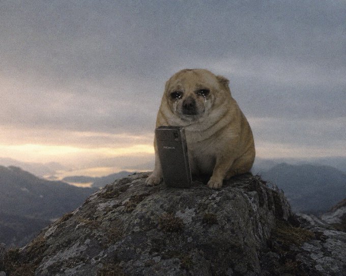 A chubby dog with a tearful expression sits on a rocky peak holding a Nokia smartphone, set against a scenic mountainous background at sunset.