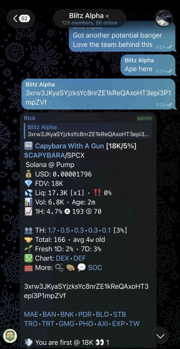 Telegram chat from 'Blitz Alpha' group sharing a Solana memecoin called 'Capybara With A Gun' ($CAPYBARA/$SPCX) with a $17.3K liquidity pool and 166 total transactions.