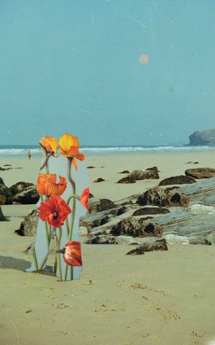 Surreal beach scene featuring a cutout silhouette of a woman surrounded by vibrant orange and red poppies, with rocks, ocean, and a moonlit sky in the background.