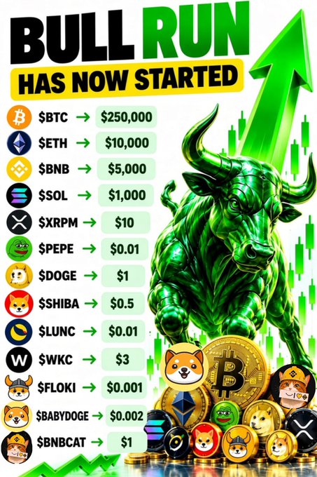 A 'BULL RUN HAS NOW STARTED' graphic lists cryptocurrency price targets such as $BTC at $250,000, $ETH at $10,000, and $DOGE at $1, alongside a green metallic bull statue and various crypto coins.