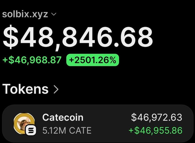 The image displays a screenshot from solbix.xyz showing a wallet holding 5.12M Catecoin (CATE) tokens valued at $48,846.68, representing a massive gain of +$46,968.87 (+2501.26%). This aligns with the post claiming a $222 investment in Catecoin turned into over $80,000 in profit, highlighting the remaining unrealized gains still held in the wallet.