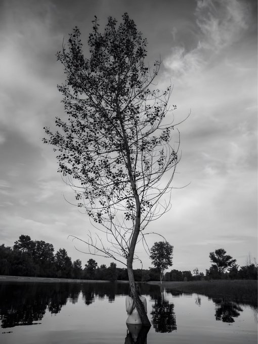 A black and white photograph showing a person standing in shallow water while a tree appears to grow directly out of their head, creating a surreal composite effect.