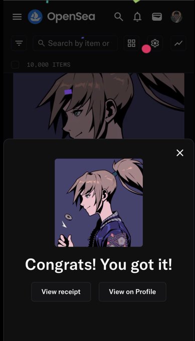 An OpenSea mobile interface shows a pop-up confirmation stating "Congrats! You got it!" featuring an anime-style character with a ponytail, with options to "View receipt" or "View on Profile." The "IKZ!" in the caption refers to this newly purchased NFT waifu character on OpenSea's marketplace of 10,000 items.
