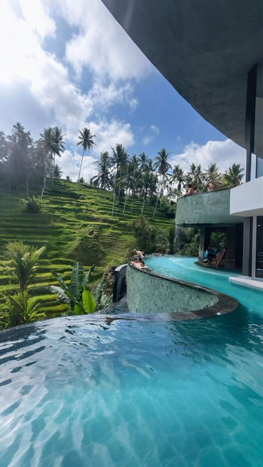 A scenic view of an infinity pool overlooking lush green terraced rice fields and palm trees, with a person relaxing on the pool's edge under a modern concrete structure.