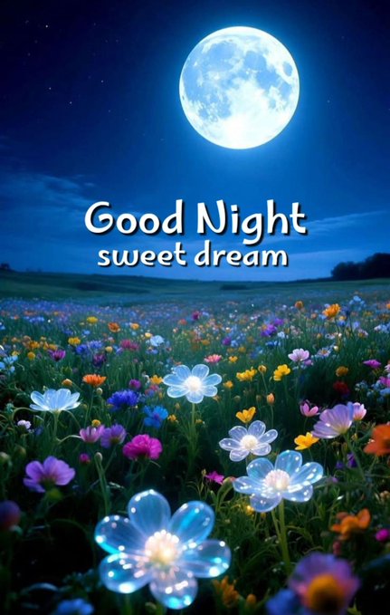 The image features a beautiful night scene with a full moon illuminating a field filled with colorful flowers, including white, purple, orange, yellow, and pink flowers. The sky above the field is dark blue, creating a serene atmosphere for the flowers below. In the background of the photo, there are words written in black text that say "Good Night Sweet Dream". This image seems to be related to a post on social media or a website promoting good night's sleep and relaxation.
