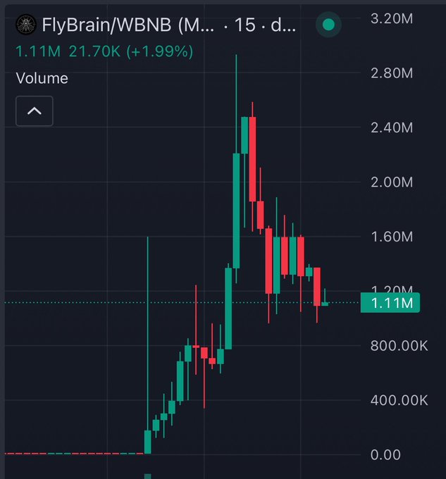 A 15-day candlestick chart of the FlyBrain/WBNB trading pair on BNB Chain shows the token's price spiking to a peak near $2.80M before sharply correcting down to $1.11M (-1.99%), reflecting the recent volatility and warning of market risks. The chart's dramatic rise-and-fall pattern visually reinforces the poster's caution that BNB Chain's bullish run may be fading and that investors should DYOR.