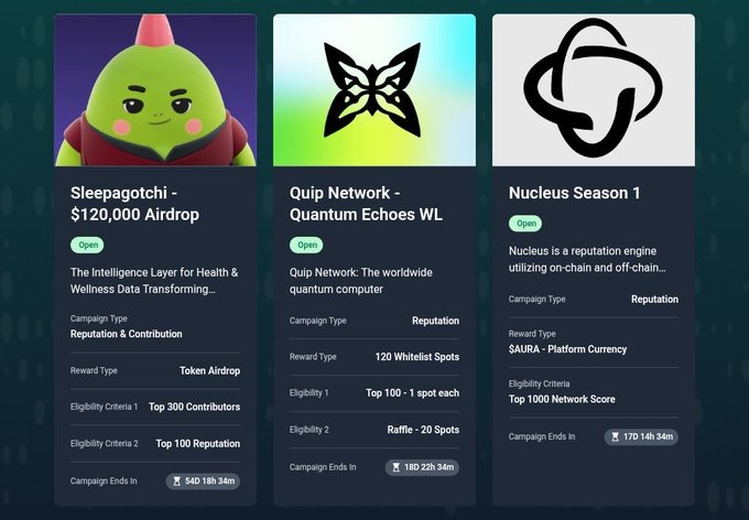 三个页面属性为"Sleeping Bear", "Oui Network", and "Quantum Echo"
