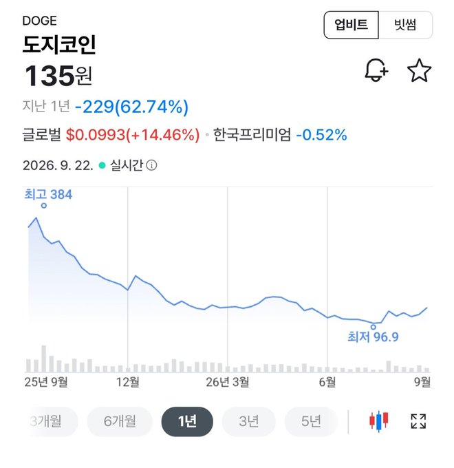 Naver Finance screenshot showing DOGE (도지코인) cryptocurrency price at 135 KRW, down 62.74% over the past year, with global price $0.0993 (+14.46%), displayed on a 1-year chart showing decline from high of 384 to current low of 96.9.