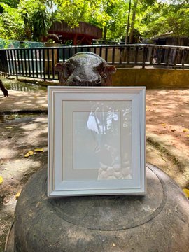 A white picture frame sits on a stone pedestal featuring a carved animal head, with an empty frame where the pygmy hippo Moo Deng's birthday photo would go, fitting the post celebrating $MOODENG's upcoming birthday.