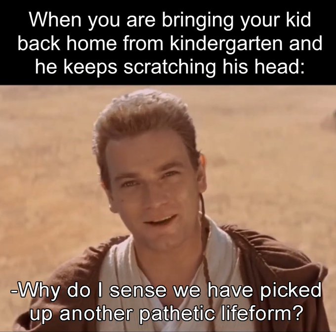 A Star Wars meme featuring Obi-Wan Kenobi with text reading 'When you are bringing your kid back home from kindergarten and he keeps scratching his head:' and '-Why do I sense we have picked up another pathetic lifeform?'