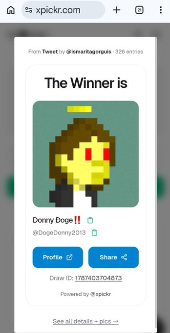 A mobile webpage from xpickr.com showing a tweet giveaway winner called 'The Winner is Donny Doge!! @DogeDonny2013' featuring a pixelated yellow character.