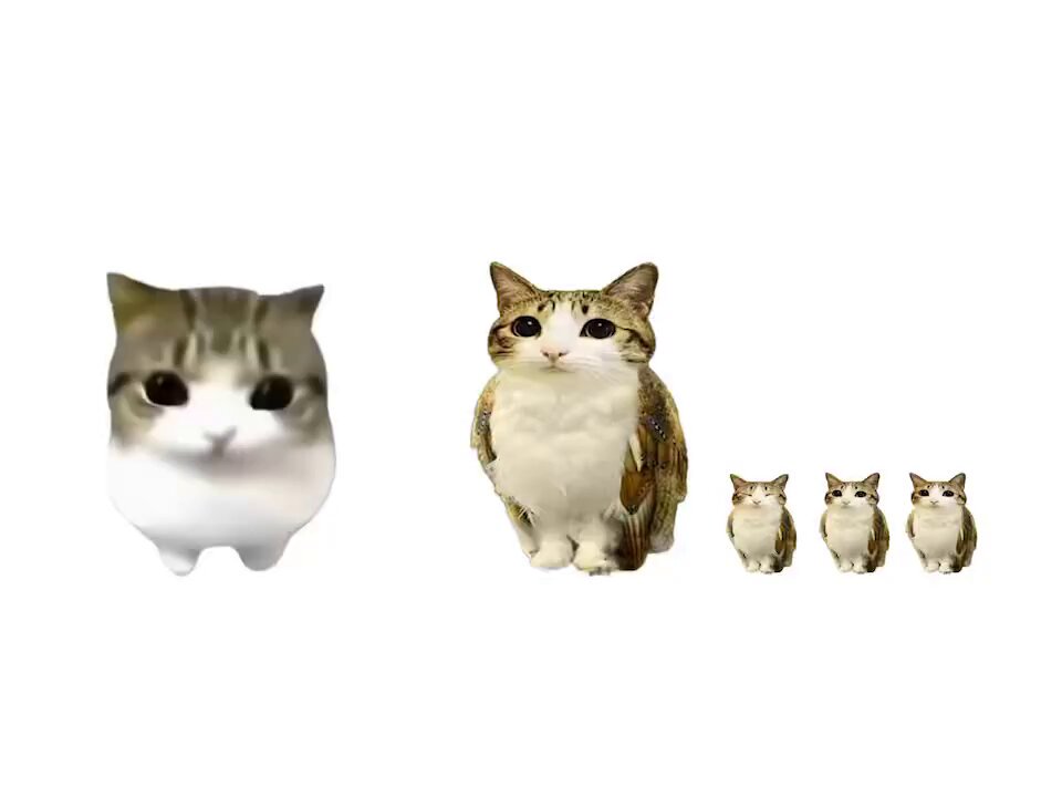 None