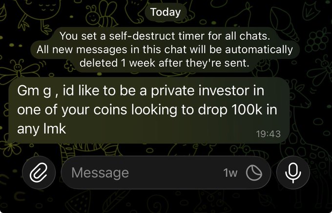 The image shows a Telegram chat with self-destruct messages enabled, containing an unsolicited message from someone claiming to be a "private investor" wanting to drop $100k into a cryptocurrency ("any lmk"), with the caption "What should I shill him?" suggesting skepticism about whether this is a legitimate offer or a common spam/scam tactic in crypto communities.