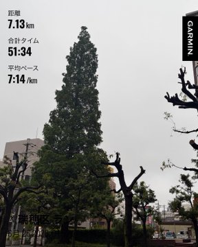 A Garmin running app screenshot showing a 7.13 km run with a 7:14/km pace in 51:34, taken on a rainy morning as the runner cut their workout short due to thunder. The "GARMIN" logo and the pine tree-lined street view match the post's account of an early morning rainy run in minimalist "waratchi" sandals.