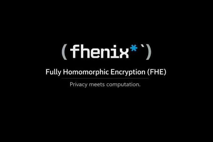 Black background featuring the Fhenix logo with the text '(fhenix*) Fully Homomorphic Encryption (FHE) - Privacy meets computation.'