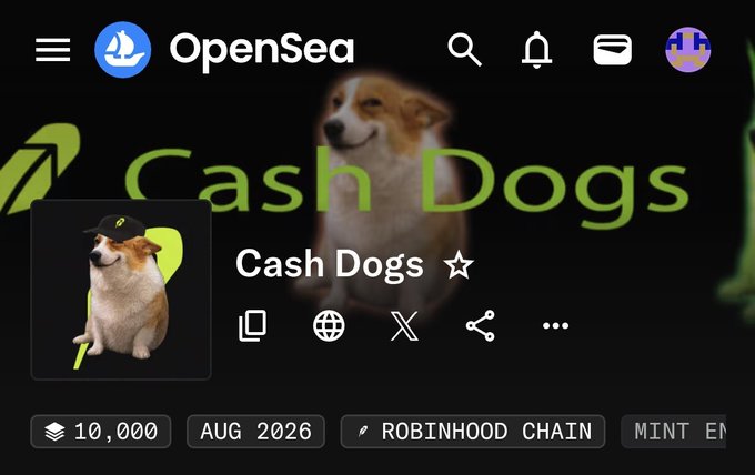 An OpenSea NFT marketplace page features 'Cash Dogs' with 10,000 supply, an August 2026 release date, and Robinhood Chain minting enabled.