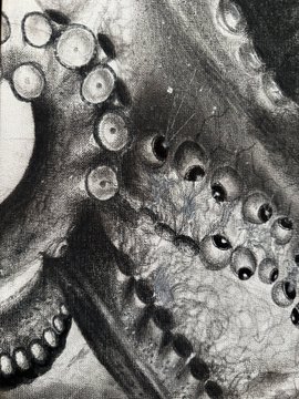 Black and white detailed charcoal or pencil drawing showing a textured surface covered with numerous spherical, eye-like or bubble-like shapes.