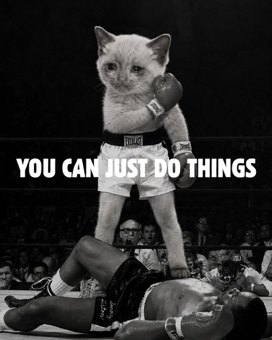 A determined white kitten wearing Everlast boxing gloves and trunks stands triumphantly in a black-and-white boxing ring over a fallen opponent, with the caption "YOU CAN JUST DO THINGS." The image ties into the Telegram channel's theme of empowering traders to take bold action — channeling the kitten's victorious, no-excuses attitude as motivation to dive into the crypto "buybot" game and get "hood rich."