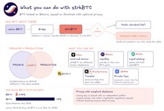A webpage titled 'What you can do with SERPOT' displaying tools like 'Bypass Google', 'SERPOT', and 'Index Tool', along with pricing options of $49.95/month and $99.95/year.
