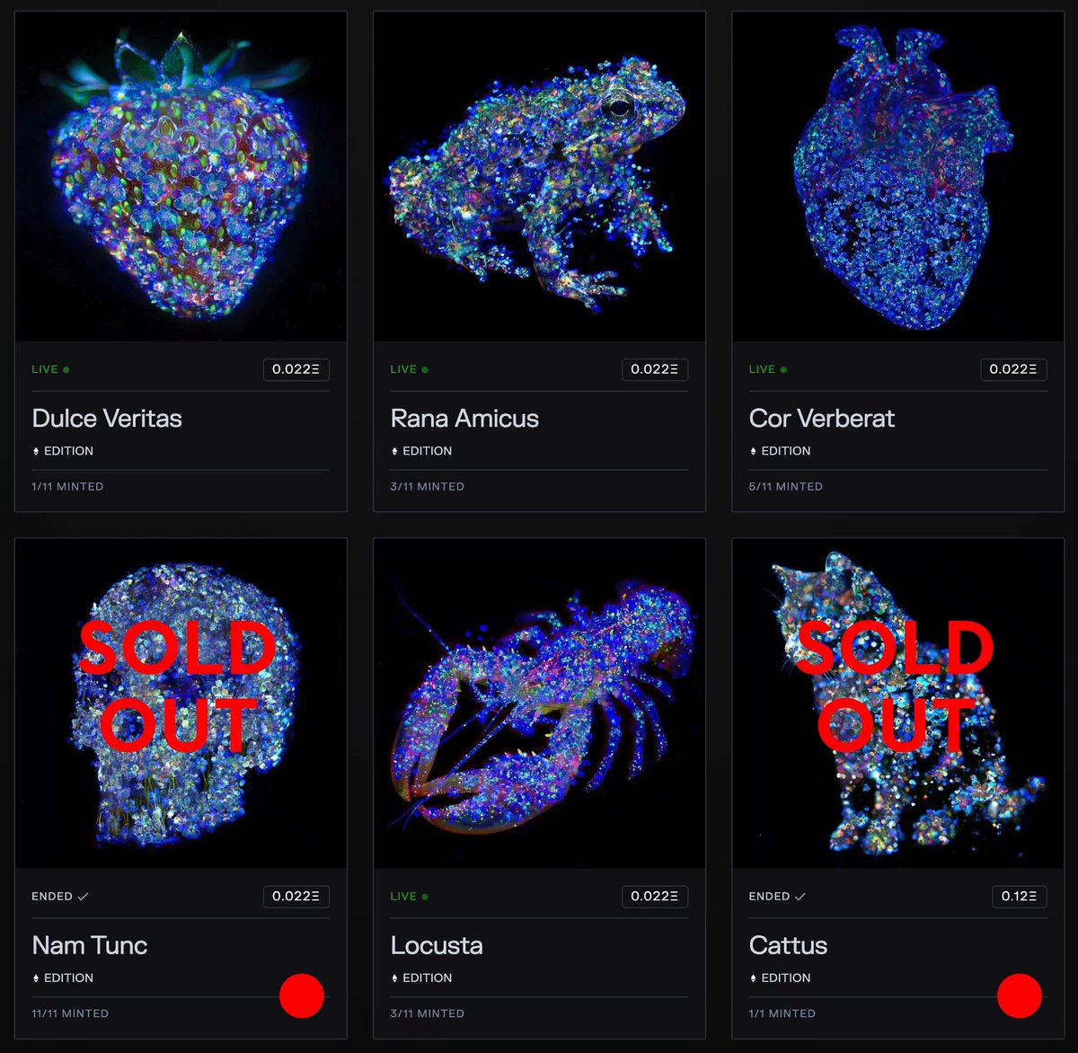 The image shows a collection of six different artworks, each featuring unique designs and patterns. These artworks are displayed on a website called Transient, which offers various Editions for sale. The artworks include a skull design, a cat design, and other creative pieces that showcase the artist's talent and creativity. The post also mentions that these Editions are available for purchase at Lecister.